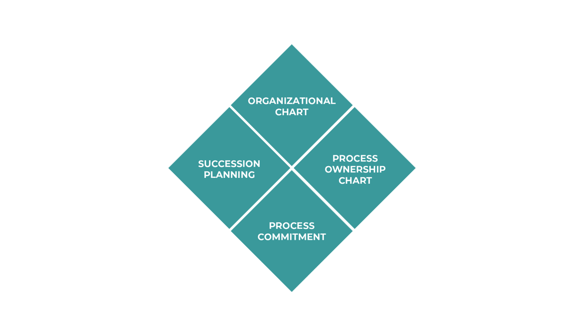 RISE Talent Accountability Diamond, example 1