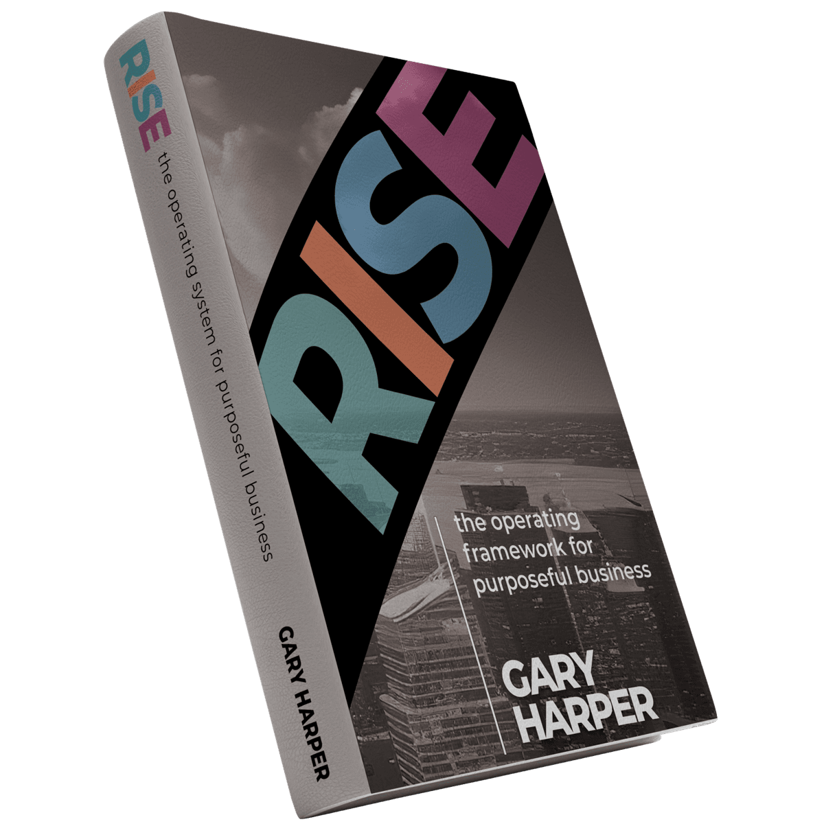 RISE Business Framework book